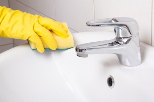Enzymatic cleaning process for pet stain odour removal in Upper Clapton
