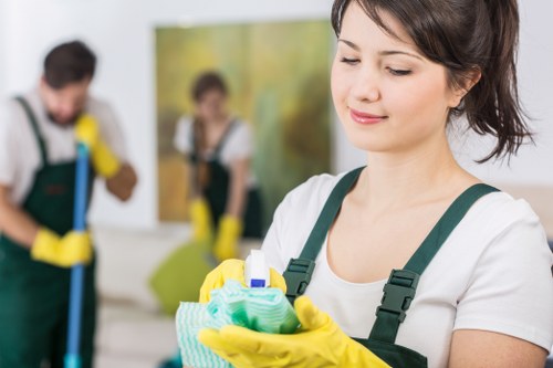 SSL encrypted carpet cleaning payment process illustration