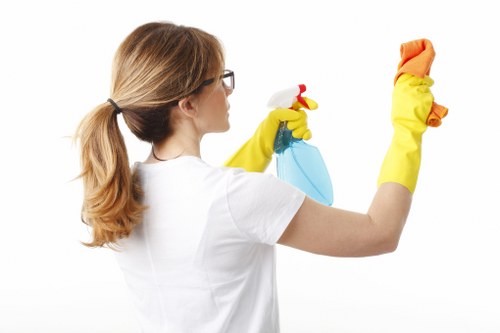 Professional carpet cleaning process in an Upper Clapton property